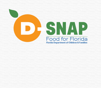 Disaster Supplemental Nutrition Assistance Program Camping World